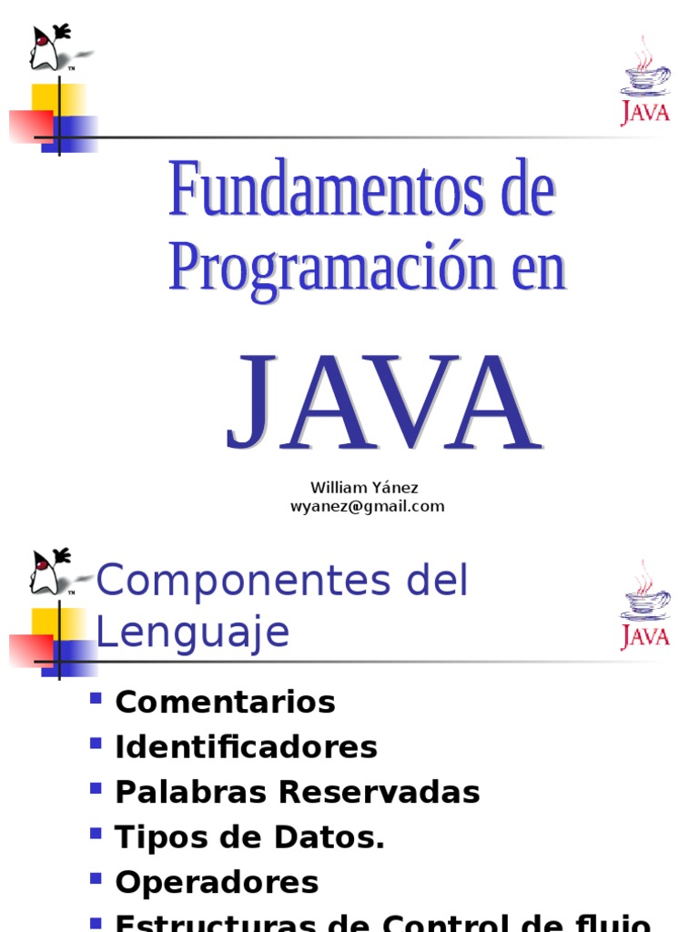 01Java Sintaxis PDF Java (lenguaje de programación) Flujo de control