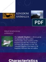 Kingdom Animalia (Jeidre Pamorca)
