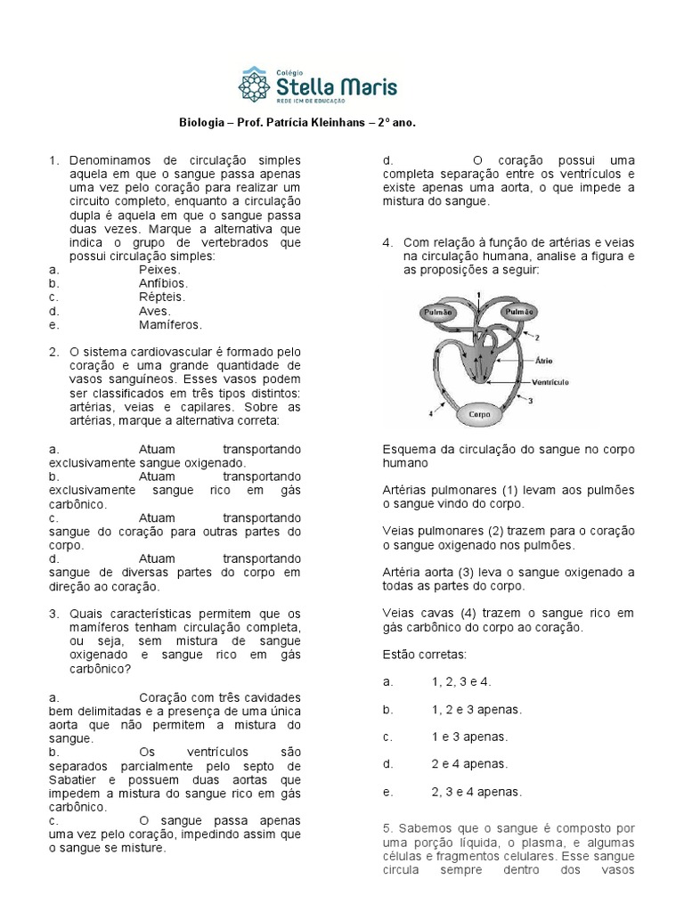 Exercícios sobre o Sistema Cardiovascular | PDF | Sistema circulatório ...
