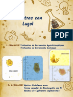 Parasitologia Lugol