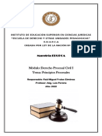 Trabajo Maestria TEMA PRINCIPIOS PROCESALES 2.0 PDF