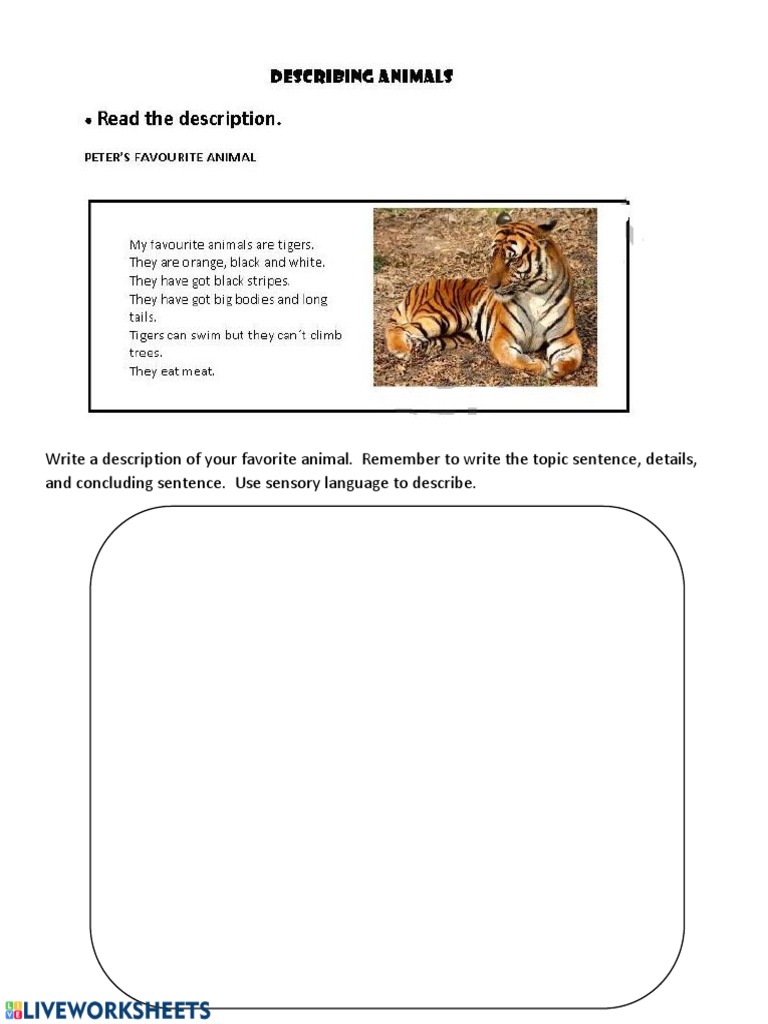 Descriptive Paragraph Workshop | PDF | Foreign Language Studies