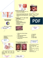 Leaflet Iva Test PKM G Tua