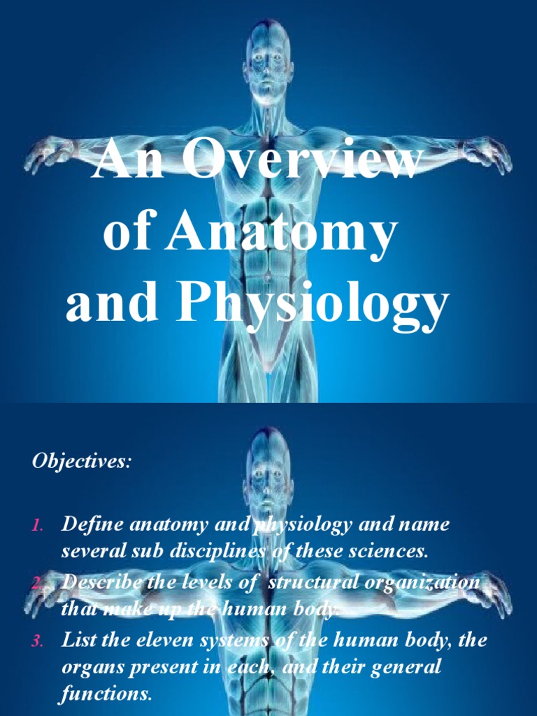 Overview of Anatomy and Physiology Lesson 1 | PDF | Human Body | Tissue ...