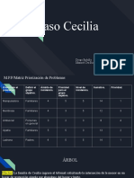 Caso Cecilia