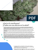 Presentación 1 Marihuana