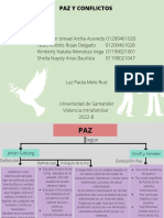 Paz y Conflictos