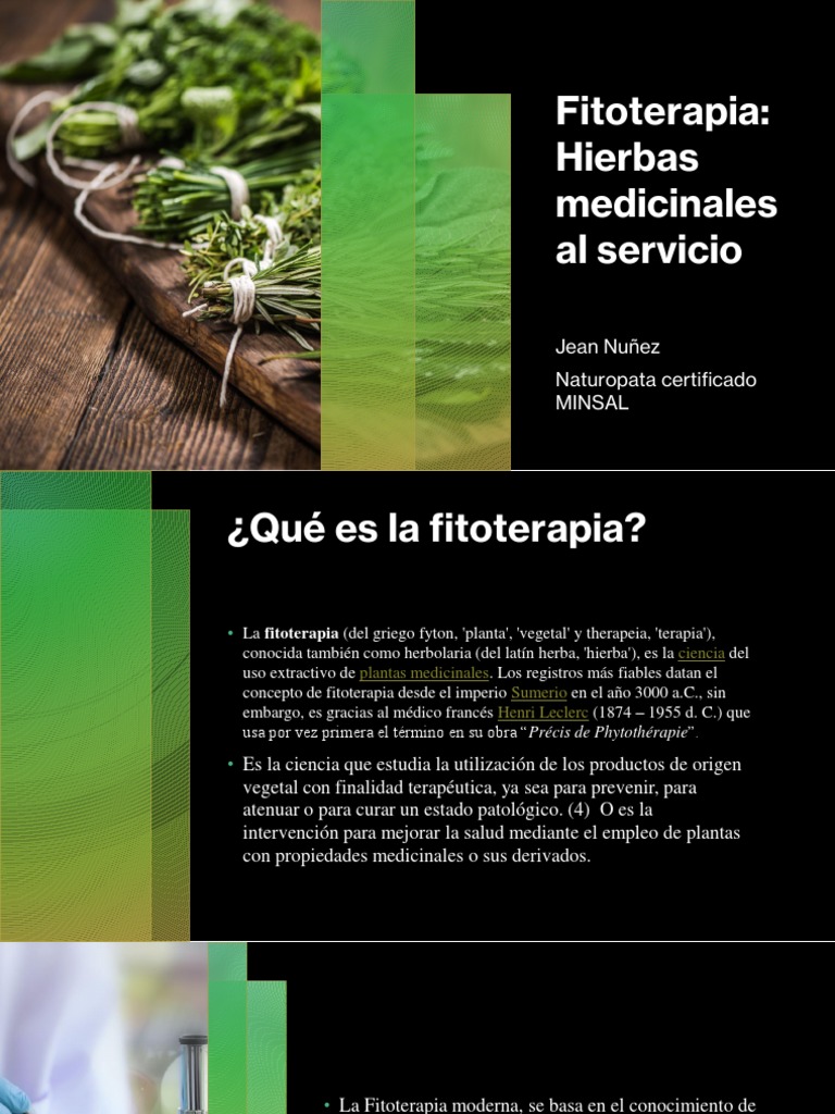 Fitoterapia | PDF | Plantas medicinales | Agua