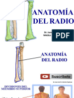 38.canal - Anatomía Del Radio
