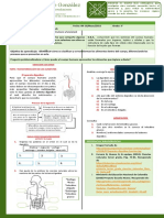 Transformación de los alimentos