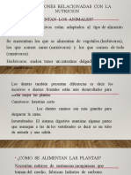 Adaptaciones Relacionadas Con La Nutrición