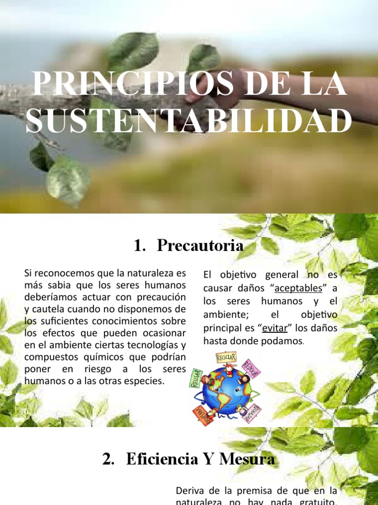 Principios Clave de la Sustentabilidad | PDF