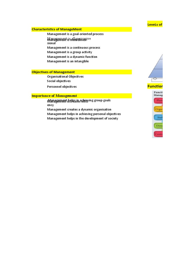 Levels and Functions of Management | PDF