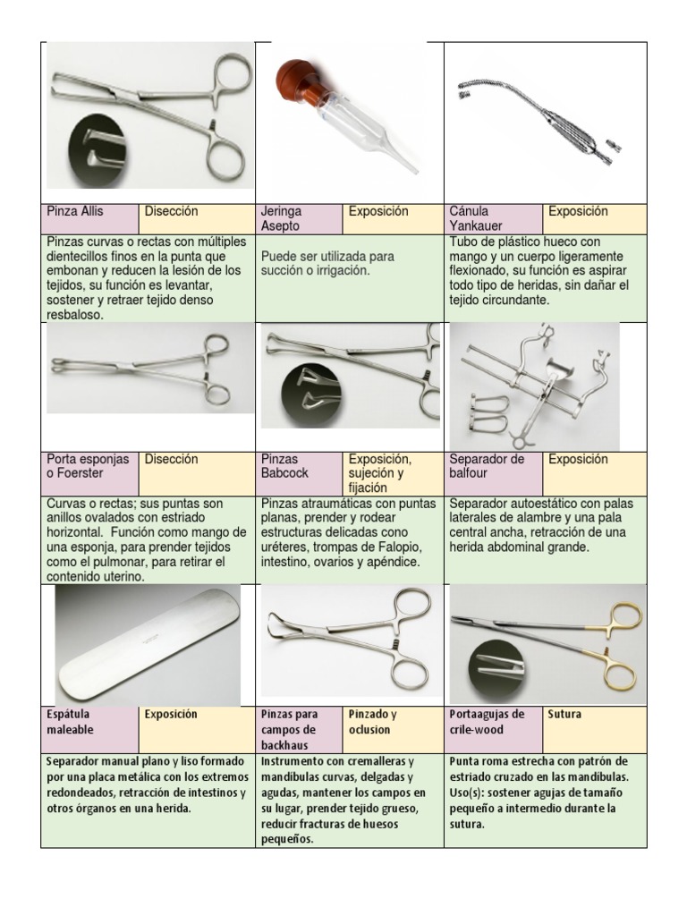 Instrumental de Cirugia General | PDF | Hoja | Anatomía