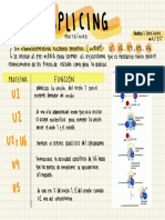 Proteínas Splicing 