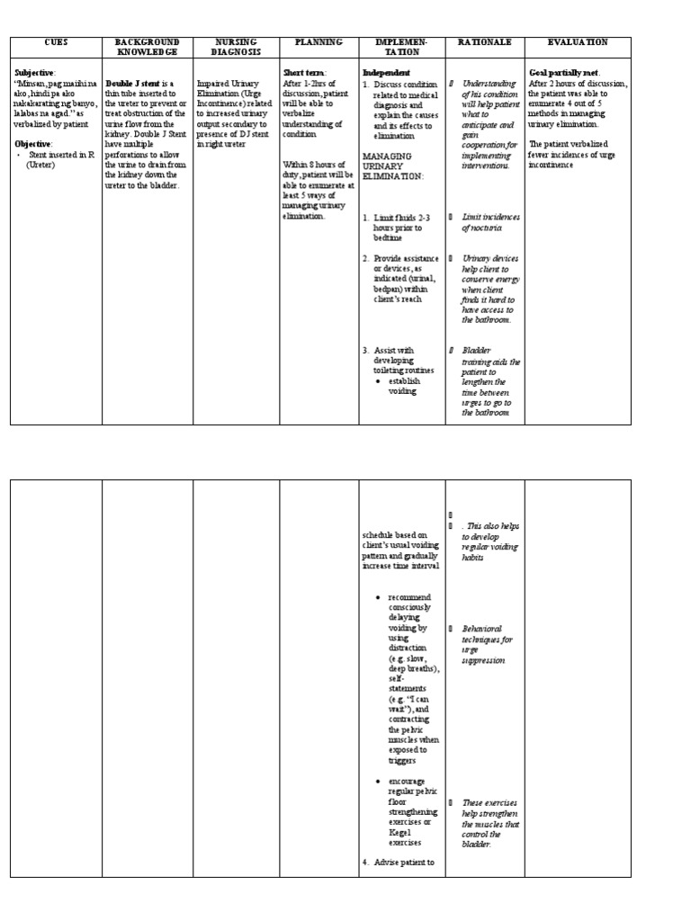 Nursing Care Plans PDF Urinary Incontinence Urination