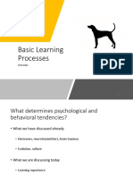 Lecture 5 Basic Learning Processes
