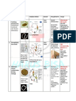 INFEKSI CACING-noteDCA