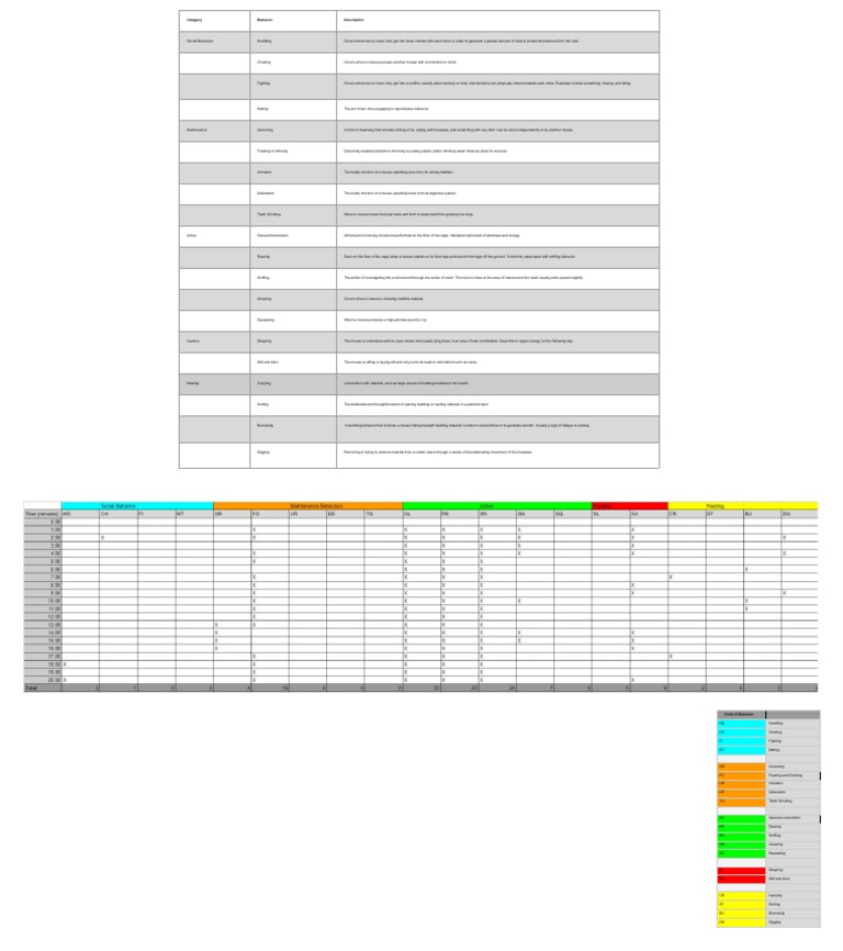 Ethogram PDF Mouse Zoology