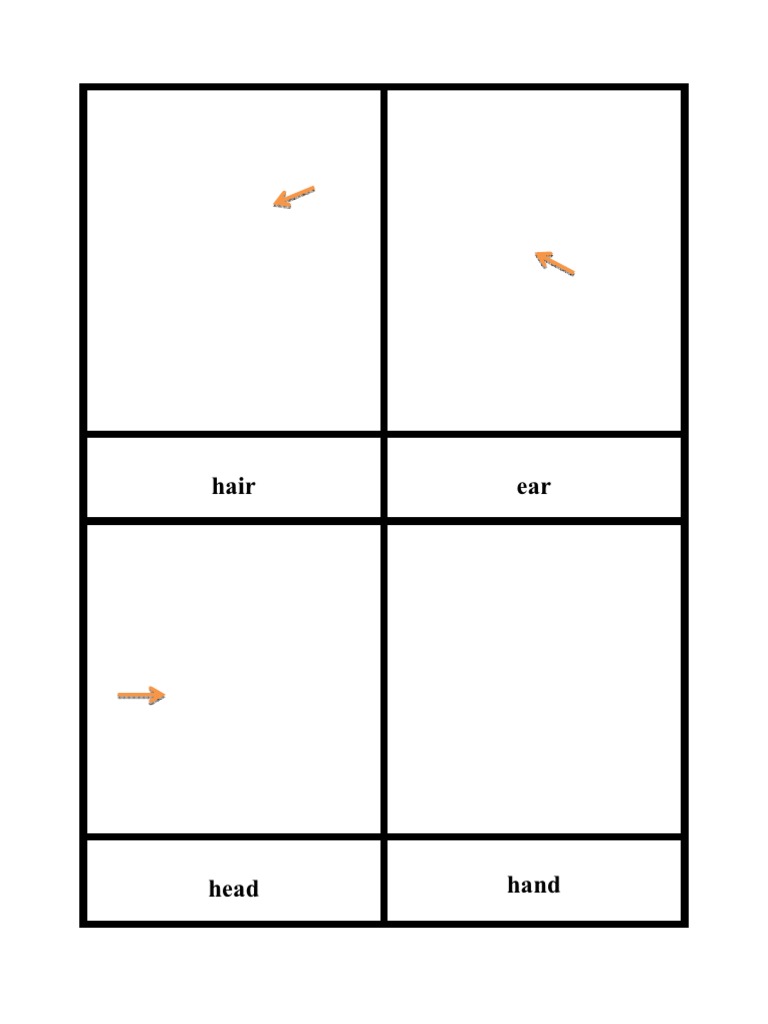 Body Parts Identification Cards | PDF | Human Anatomy | Sports