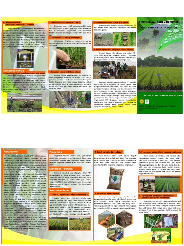Leaflet Pengelolaan Tanaman Terpadu PTT Padi Lahan Sawah Irigasi | PDF