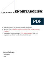 Nitrogen Metabolism 1