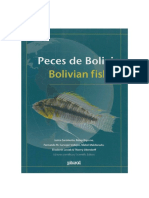 Peces de Bolivia - Bolivian Fishes