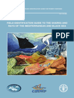 Mediterranean and Black Sea Sharks and Rays-Fao-2005