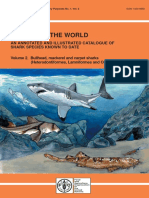 Sharks of The World Vol. 2-2002
