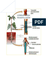 LKPD Materi 1 (Sagita Nia Marfuah)