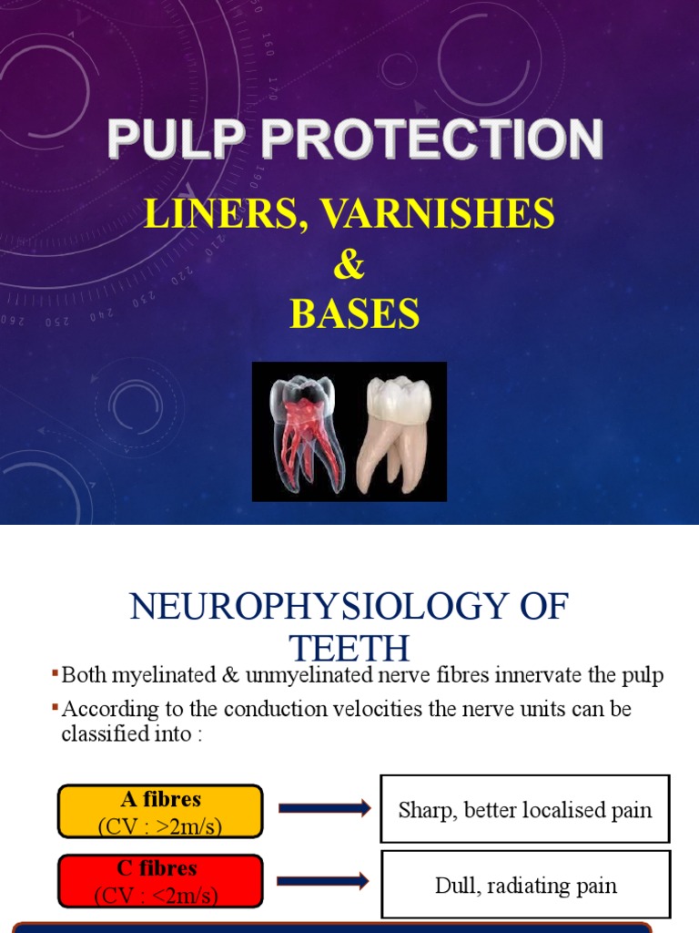 Pulp Protection PDF Dentin Materials