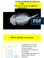 Brine Shrimps and Temperature