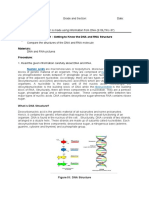 DNA and RNA Compared Supplementary Worksheets