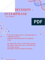 Cell Division - Interphase g4