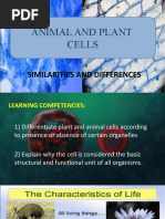 Animal and Plant Cells