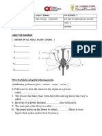 Label The Diagram: (Anther, Petal, Sepal, Ovary, Stigma)