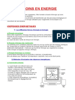 Nutrition - Besoin en énergie