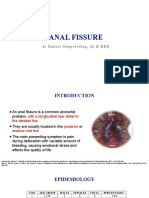 Anal Fissure 2