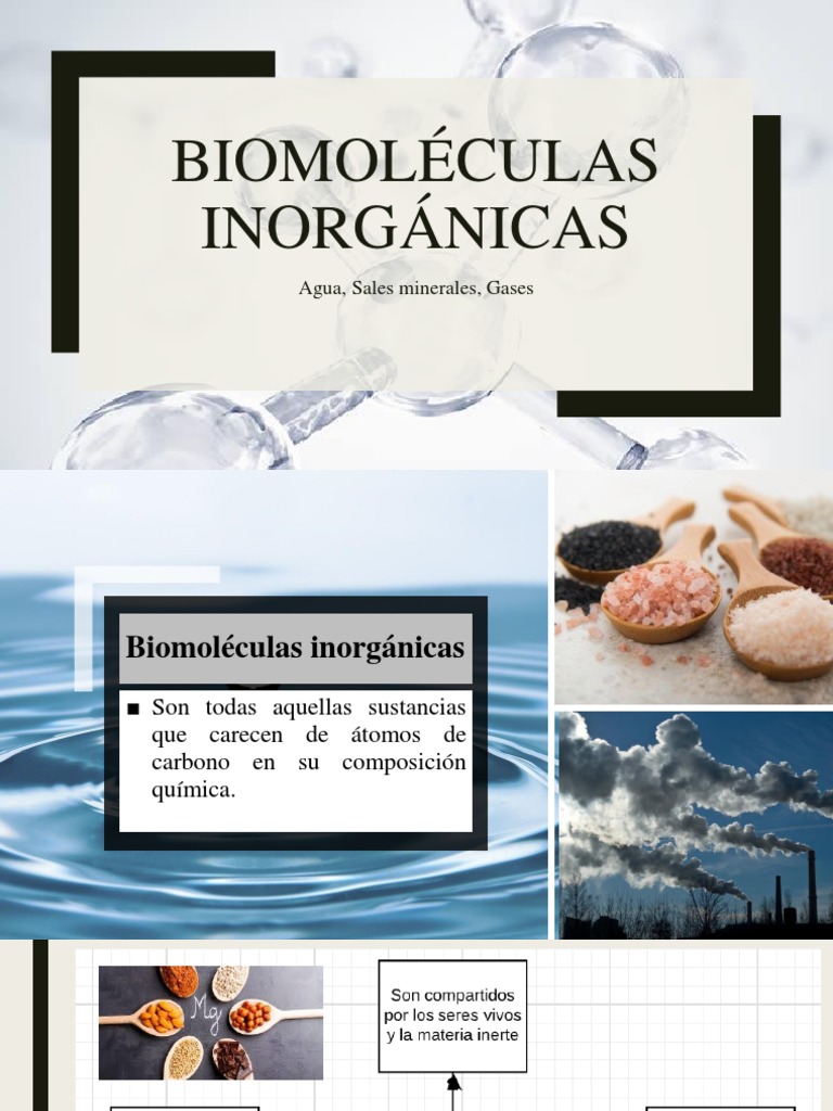 Biomoléculas Inorgánicas: Agua y Sales | PDF | Sal (química) | Agua