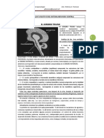 Cerebro Triuno Desarrollo Evolutivo Del Sistema Nervioso Central