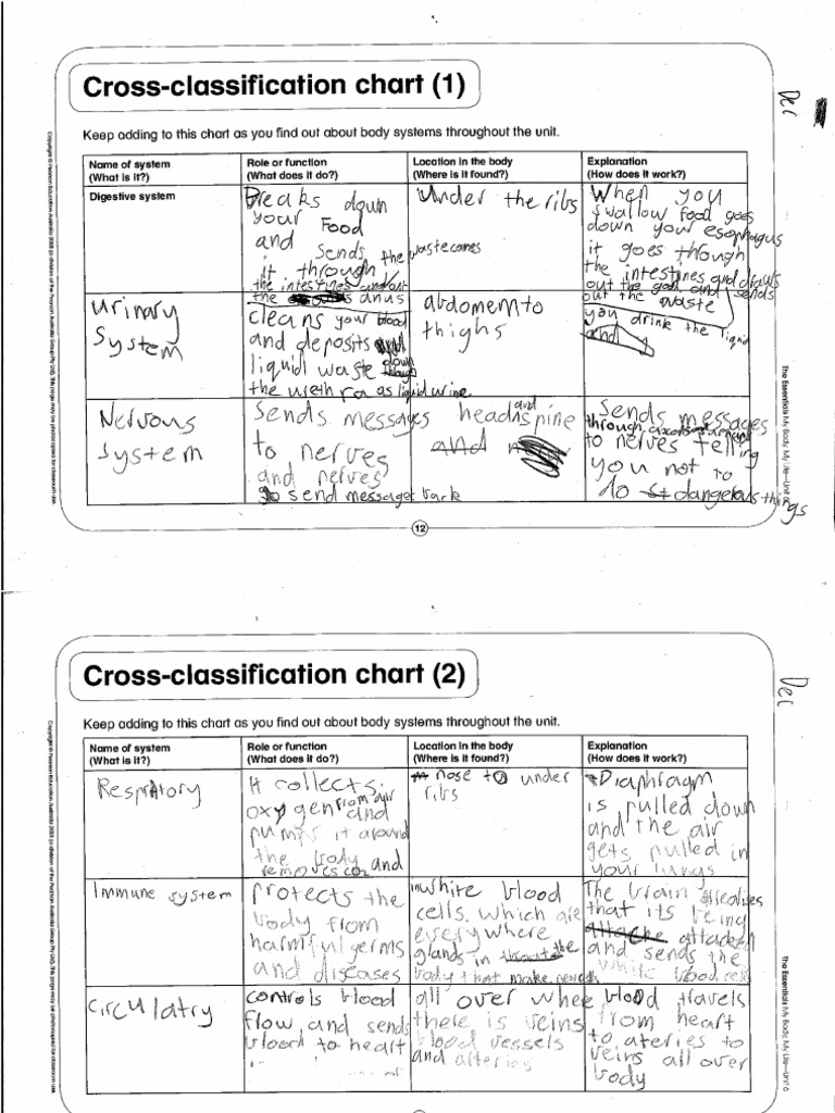 Body Systems Cross-Classification Chart | PDF