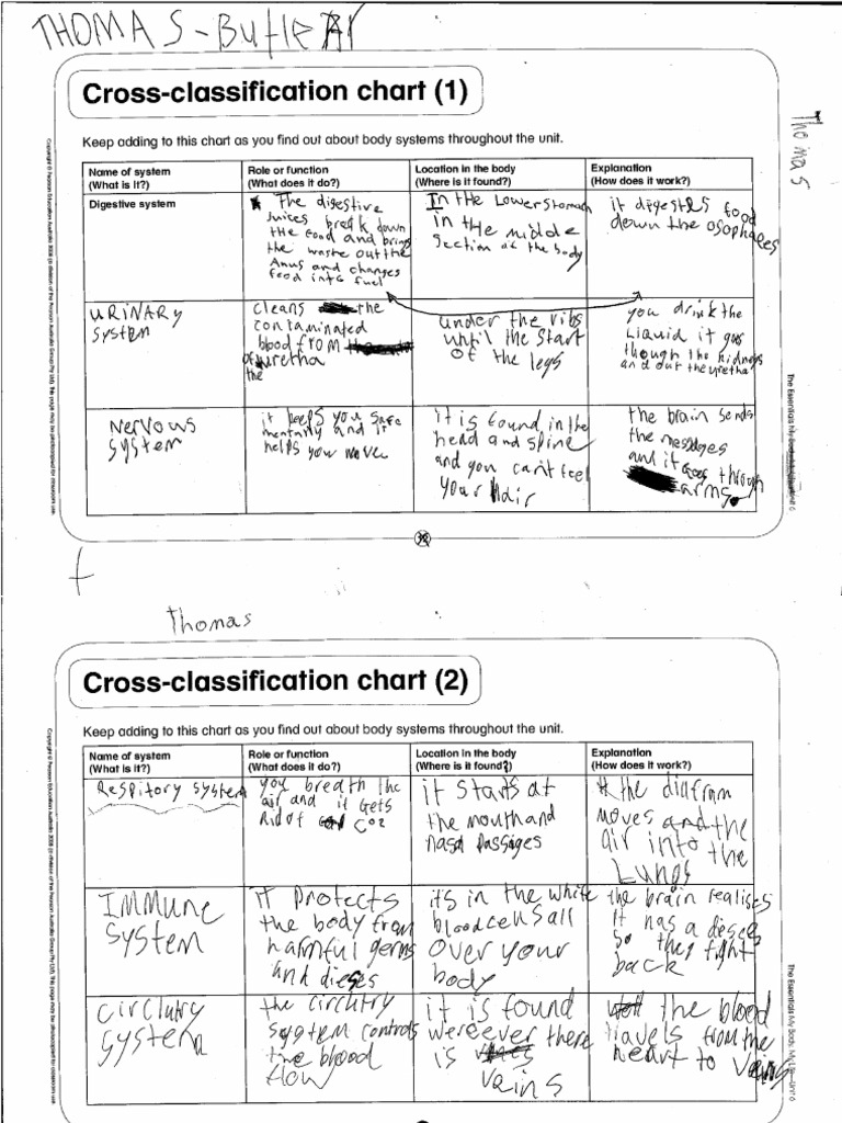Cross-Classification Chart (1) : Spit/11/' | PDF | Science ...