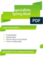 Spring Boot Expert+slides