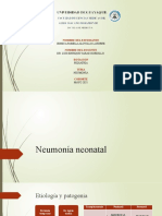 Neumonía neonatal: Etiología, factores de riesgo, cuadro clínico y tratamiento