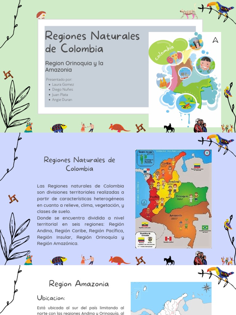 Regiones Naturales de Colombia: Orinoquía y Amazonia | PDF | Ciencias ...