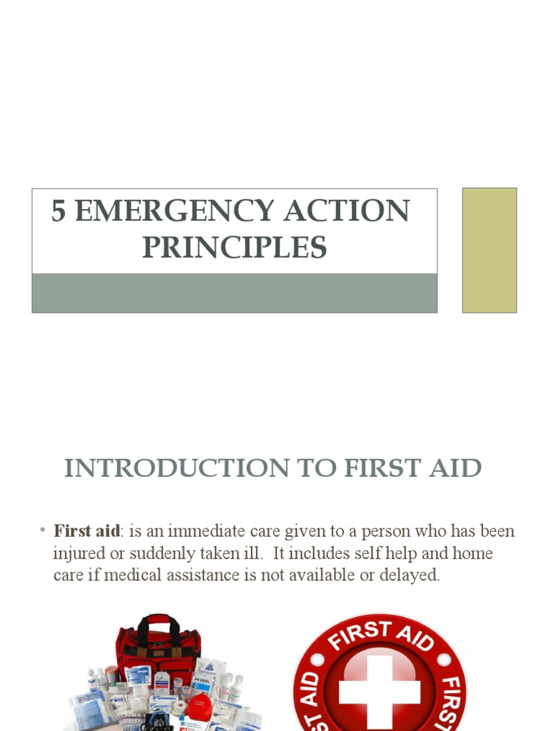 5 Emergency Action Principles of First Aid | PDF | First Aid ...