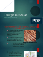 Energía Muscular