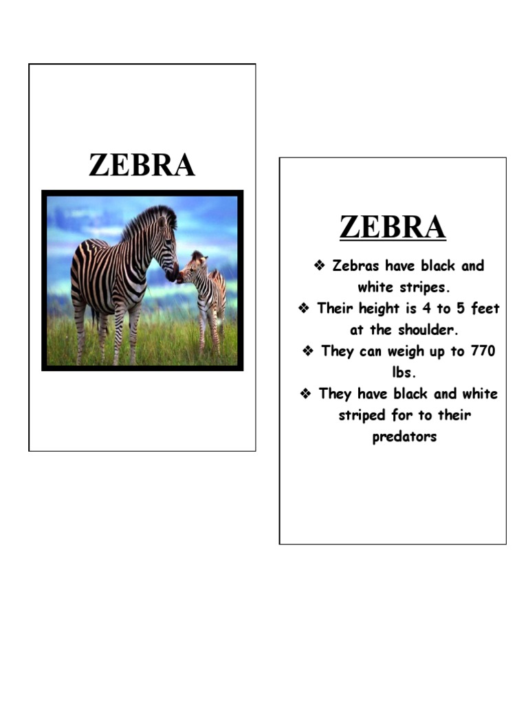 Zebra English PDF
