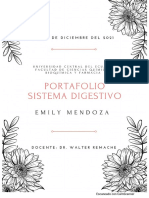 Portafolio Sistema Digestivo Emily Mendoza