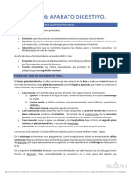 Aparato digestivo: funciones y estructura